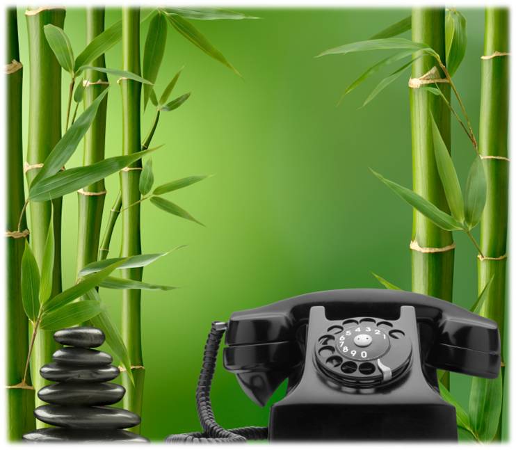 bamboo and phone